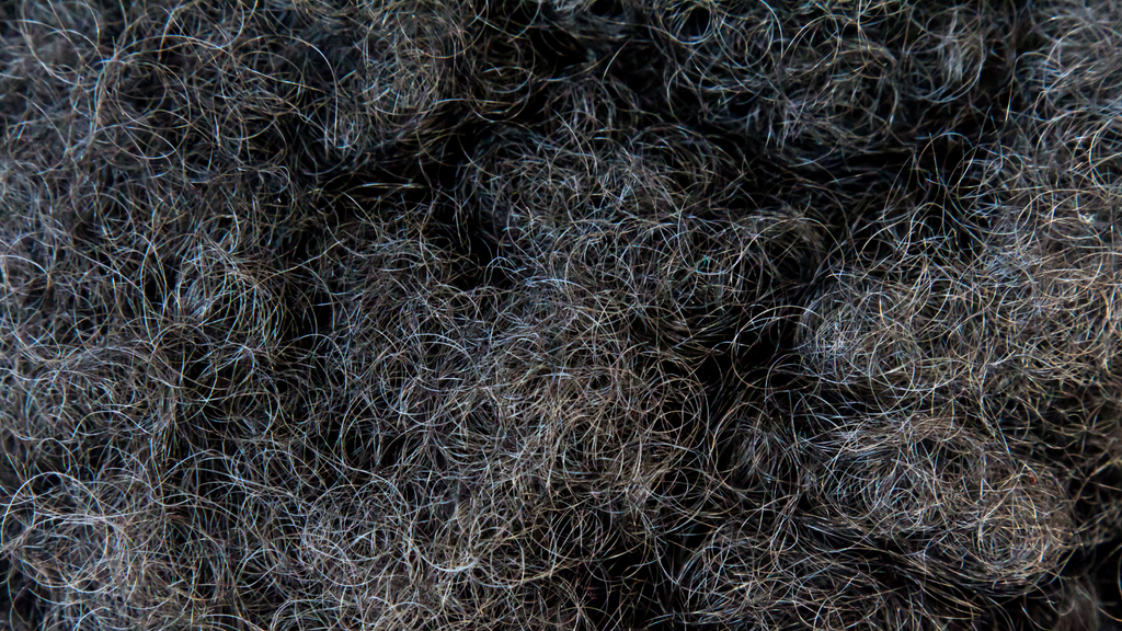 Ways to Care for your Natural Gray Hair